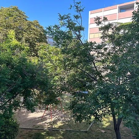 Freedom 36 Apartment Split